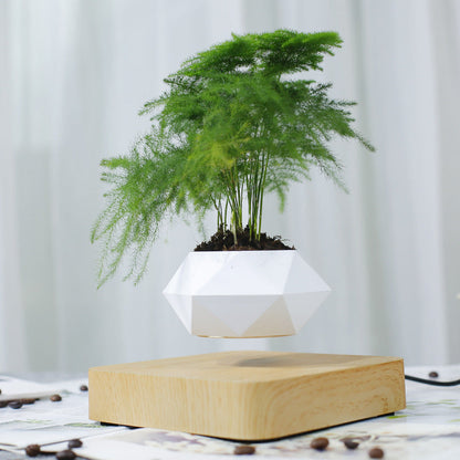 Blumentopf mit Magnetschwebetechnik